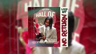 [FREE] Polo G Loop Kit - No Return - Hall Of Fame Type Loops/Samples 2021