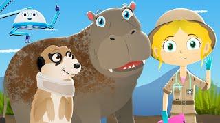 Funny Meerkat & Hippo | Dr Poppy On Safari | Cartoon Animals For Kids | Learning Videos For Toddlers