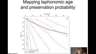 Estimating Downcore Decline in Skeletal Disintegration Risk in Holocene Environments