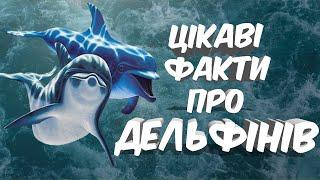 ДельфіниЦікаві факти про дельфінівПізнаємо світ навколо нас