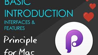 Basic Introduction to Interface & Features - Principle for Mac