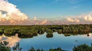 Best Tinnitus Sound Therapy Ever 10 Thousand Islands Nature Sounds