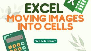 How To Move An Image Into A Cell In Microsoft Excel - Putting Image In Cell - Add Picture Into Cell