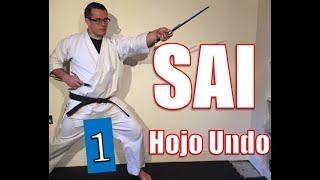 Sai Hojo-undo 1 - Jodan Mawashi Uchi - Okinawan Kobudo Sai Tutorial