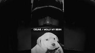 Playboi Carti - Celine/Molly My Bean [guitar cover]