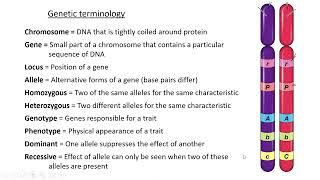 Animal genetics   Lesson 1