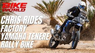 Flat out in the desert! Chris rides a factory Yamaha Ténéré Rally bike with Pol Tarrés.