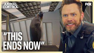 Frank Makes a REGRETTABLE Mistake While Capturing a Loose Penguin | Animal Control