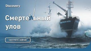 Успеть за 60 часов | Смертельный улов | Discovery