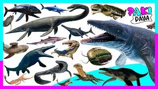 ¡ANIMALES MARINOS PREHISTÓRICOS! PARTE 2 - Prehistoric Sea Animals - Mosasaurio, Plesiosaurio