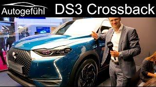 DS3 Crossback REVIEW electric E-Tense vs Petrol/Diesel - Autogefühl