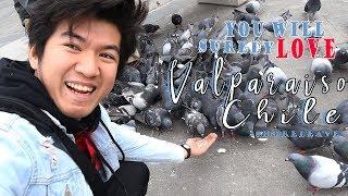 VALPARAISO CHILE REACTION (MY FAVORITE PLACE)