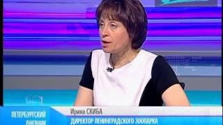 "Петербургский дневник" от 15 июля 2013 года