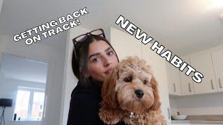 WEEKLY VLOG | Getting back on track! | Dionne Crowe