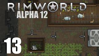 Rimworld - 13 - Thrombo Down - Alpha 12 Gameplay LP