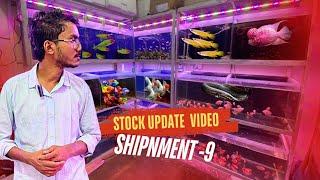 Shipnment-9 Stock Update Video