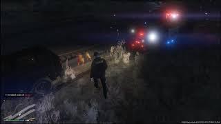 Saturday Night LSPDFR LIVE with Officer ufo1