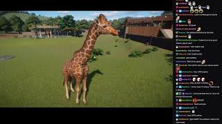 Jerma Streams [with Chat] - Planet Zoo