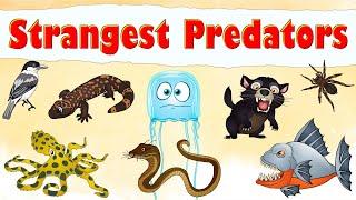 World’s Strangest Predators and Their Bizarre Hunting Techniques | Animal Facts