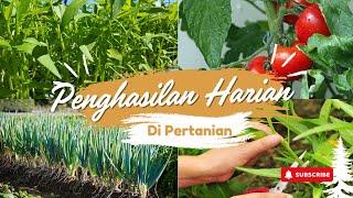 MENCIPTAKAN PENGHASILAN HARIAN DI PERTANIAN