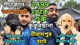 Best Pet Market in Kolkata । Serampore Dog Market । Dog Market in Kolkata