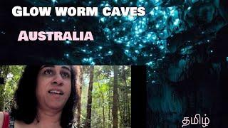 Glow Worm Caves: The Most Magical Place in Australia | Australia tamil|