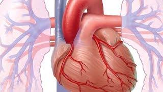 Mayo Clinic Minute: What is heart disease?