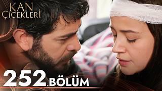 Kan Çiçekleri 252. Bölüm