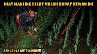 Bikin Panik! Niat Mancing Belut Untuk Makan Sahur Malah Hewan ini yang Didapat