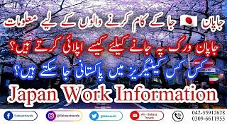 Japan Work Visa for Pakistanis || Japan Work Permit Requirements || How to Apply? || Babaaz Travels