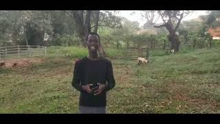 Wanyama application - Connecting livestock sellers and buyers