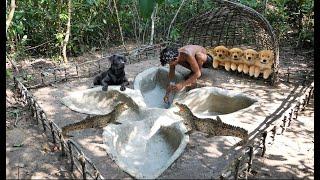 Rescue Baby Crocodile From Dry Up Place And Build Amazing Crocodile Pond