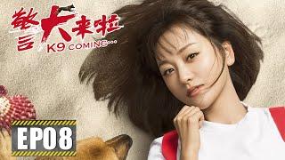 【励志】《警犬来啦 K9 Coming》第08集——黎阳为训猫而“走火入魔” 岛上居民们慢慢接受花少