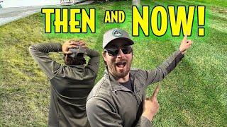 How to Get Your Lawn Better Than Everyone Else! | Lawn Care For Beginners