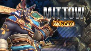 Mittow pro Player Showing how to play with tiberius paladins POV GLOBAL