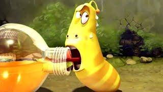 LARVA  - ЛАРВА | FIZZY DRINK | Мультяшный фильм | Мультфильмы для