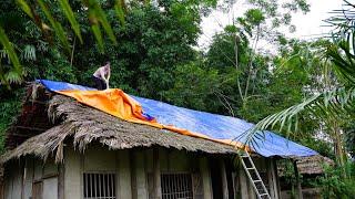 Wie hat mein Haus angesichts des Taifuns YaGi den Sturm überstanden | Ly Tieu Tuyet