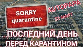 Последний обзор цен в Марте на автопапа перед закрытием на карантин. Autopapa Грузия.