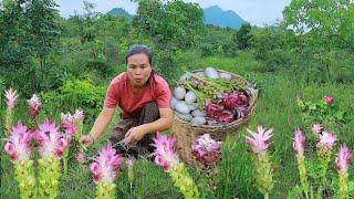 survival in the rainforest- found crocodile egg for cook with flower -Eating delicious HD