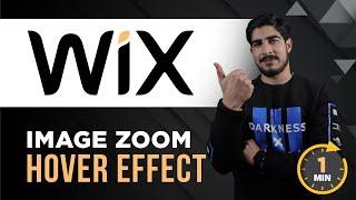 Wix Zoom Image On Hover Tutorial 2024 | How To Add Image Zoom Hover Effect On Wix | Image Hover Wix