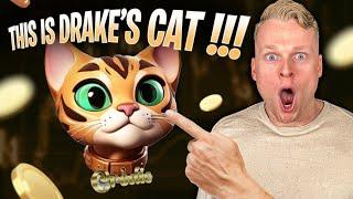 Drakes's Cat $CRODIE is the next 100x Solana Cat Meme Coin?