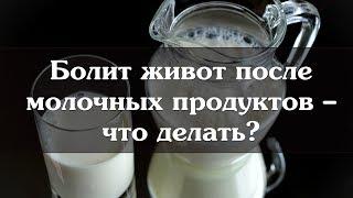 Болит живот после молочных продуктов – что делать