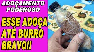 🟢 ADOÇAMENTO PODEROSO! ADOÇA ATÉ BURRO BRAVO MUITO RÁPIDO!! ELE FICA GRUDADO EM VOCÊ!