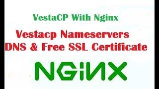 How to Set up Vestacp Nameservers DNS & Free SSL Certificate