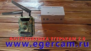 4G Фотоловушка ЕГЕРЬКАМ СНАЙПЕР и ЗОРКИЙ (SiFar WillFine 4.0 PRO) Анпакинг Старт Настройка Антивор