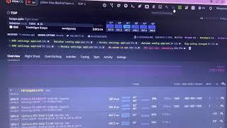 How to fix endless rebooting “GPU are lost,rebooting” error.  HIVE OS