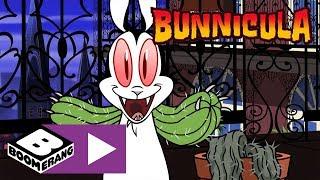 Bunnicula | Bunnicula's Tail Falls Off | Boomerang UK 