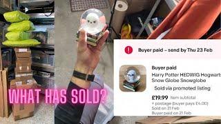 eBay Reselling: THE ULTIMATE SIDE HUSTLE - Picking Orders!