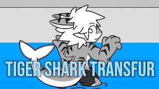 | Tiger Shark Transfur | Changed Transfur Animation