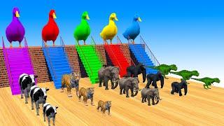 5 Giant Duck Cartoon,Tiger,Cow,rabbit,Gorilla,Dog,Cat,Dinosaur Wild Animals Crossing Fountain 2023